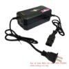 sac xe may dien 48v 20ah chan vuong cao cap 3